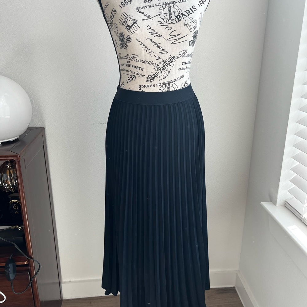 Elegant Black Pleated Skirt